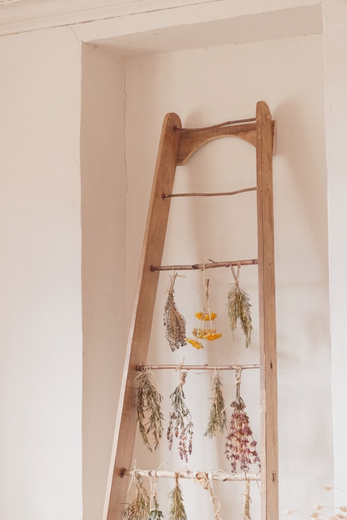 A wooden ladder displayed against a white wall, adorned with various dried herbs and flowers tied with twine.