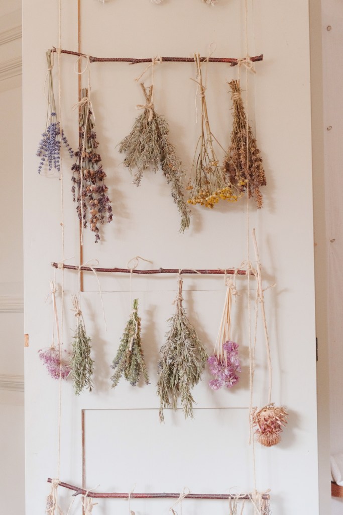 A display of dried herbs and flowers hanging from twigs on a wall, showcasing various colours and textures.
